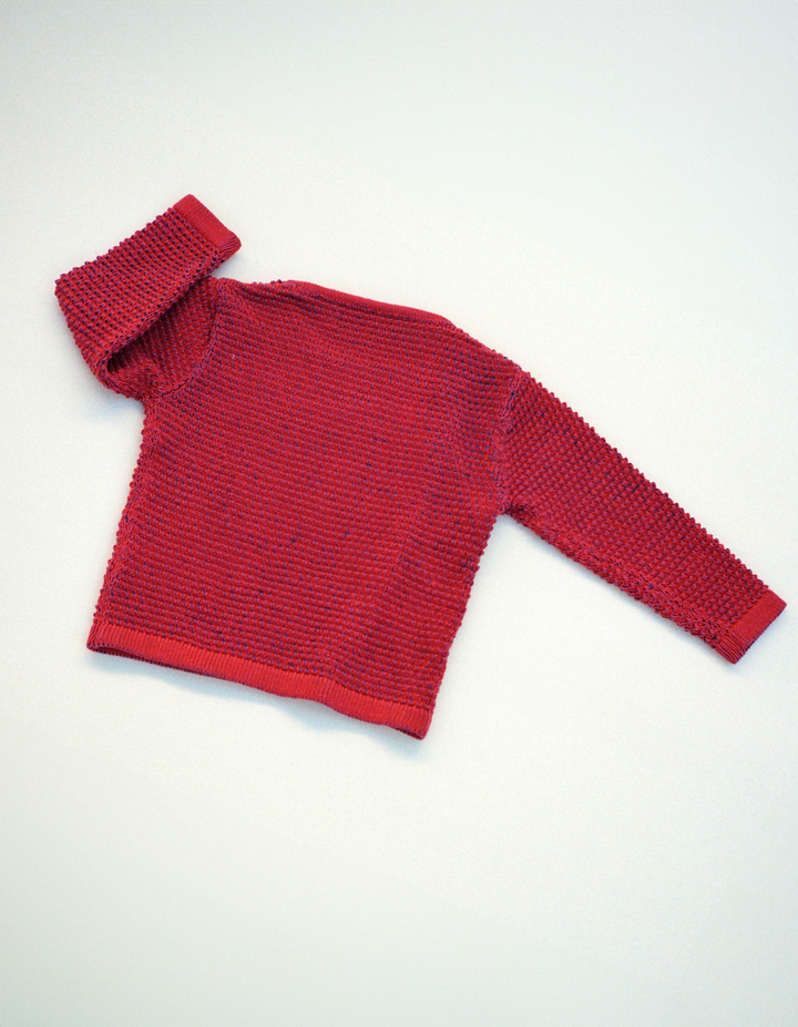 FIELD SNAP CARDIGAN IN LINGONBERRY